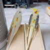 BUGER & LEMON, Male & Female Cockatiel couple - Image 4