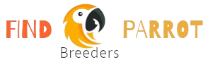 buy cockatiels